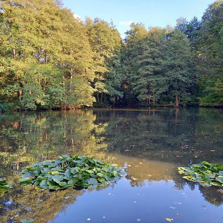 Ferienwohnung Am Waldsee Mit Schwimmbad Gernsbach Ngoại thất bức ảnh