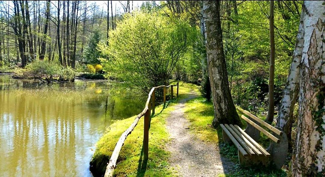 Ferienwohnung Am Waldsee Mit Schwimmbad Gernsbach Ngoại thất bức ảnh