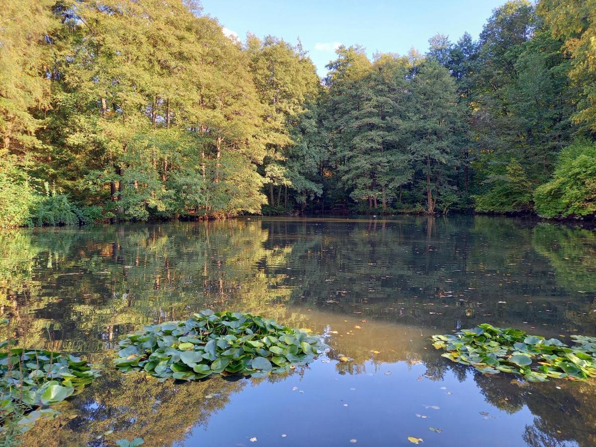 Ferienwohnung Am Waldsee Mit Schwimmbad Gernsbach Ngoại thất bức ảnh