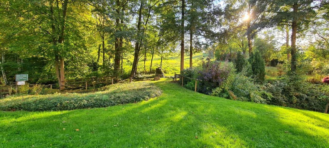 Ferienwohnung Am Waldsee Mit Schwimmbad Gernsbach Ngoại thất bức ảnh