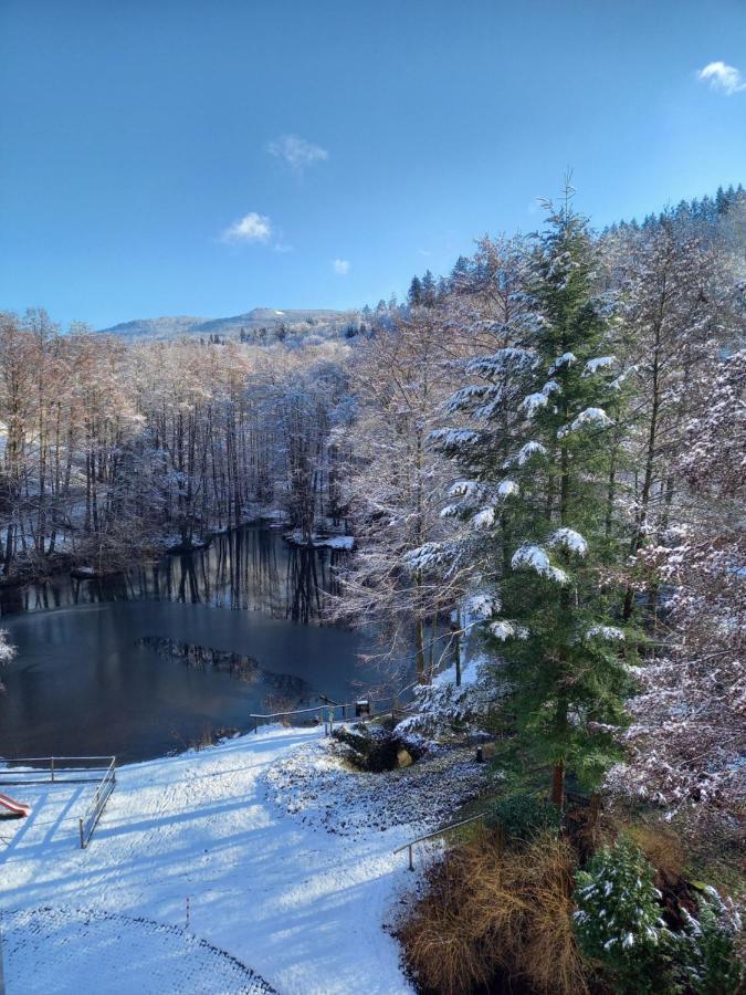 Ferienwohnung Am Waldsee Mit Schwimmbad Gernsbach Ngoại thất bức ảnh